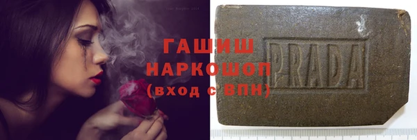 стаф Алексин
