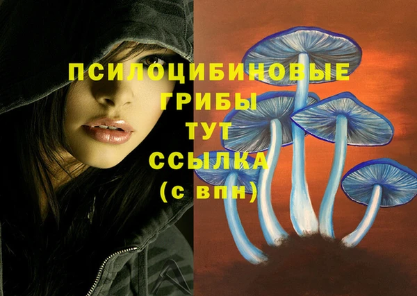 стаф Алексин