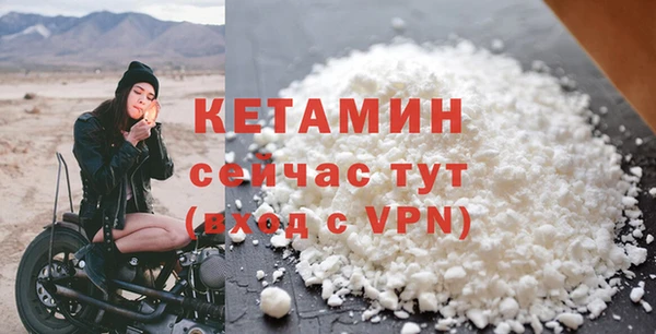 амф Тайга