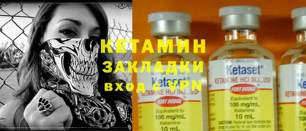 стаф Алексин