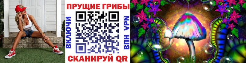 кракен tor цена нарко площадка телеграм Галлюциногенные грибы прущие грибы Горно-Алтайск